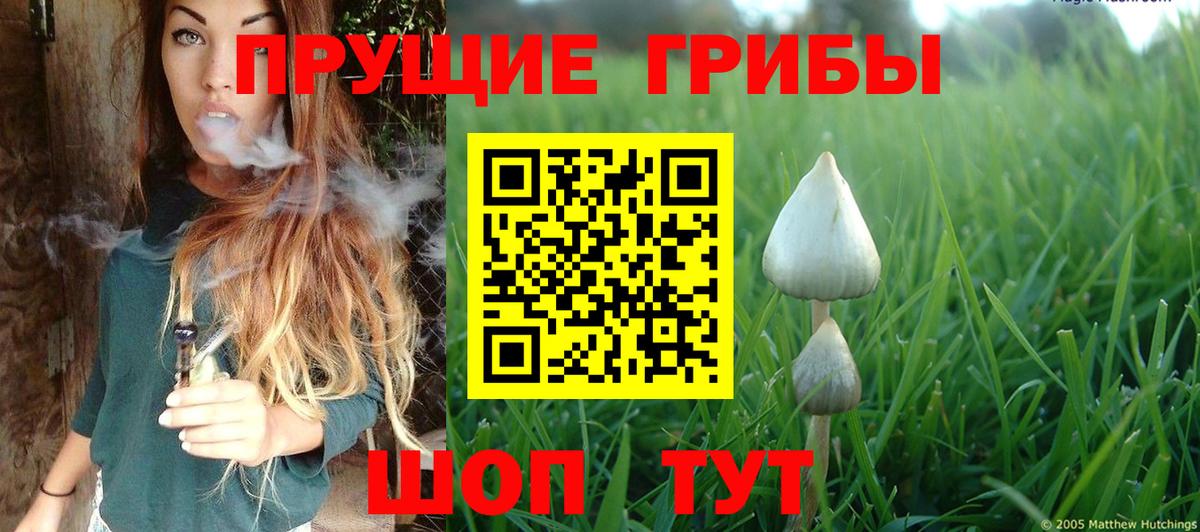 Псилоцибиновые грибы ЛСД Сызрань